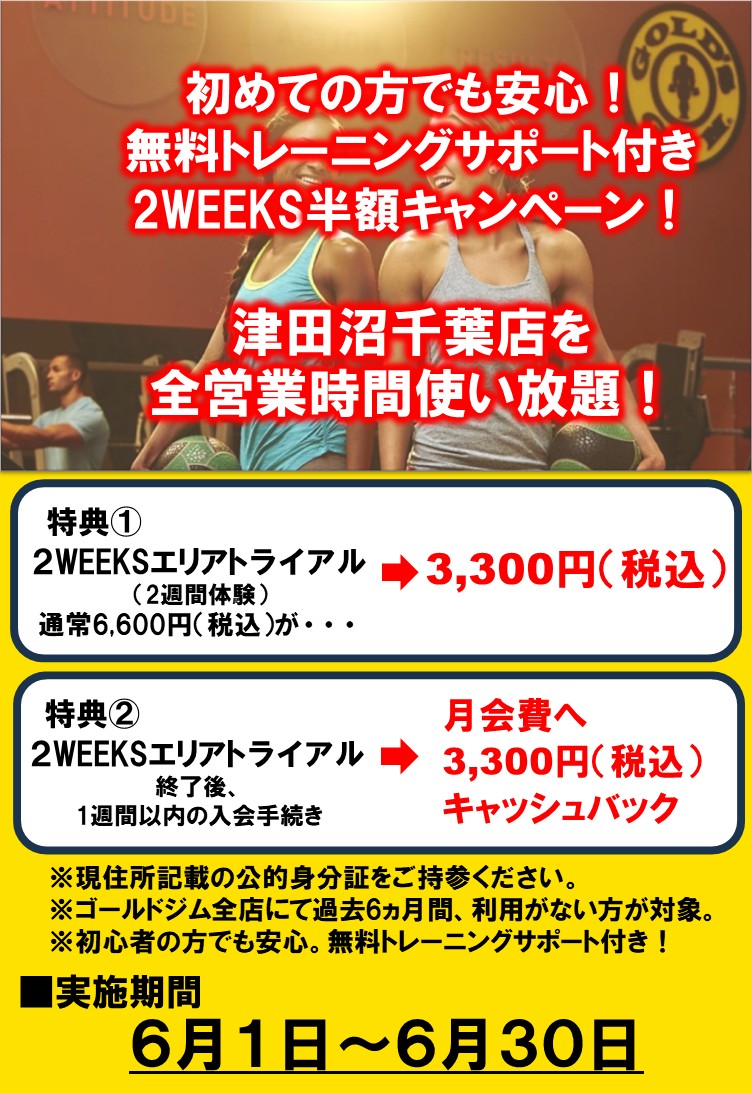 2WEEKS半額＆キャッシュバックキャンペーン！｜津田沼千葉