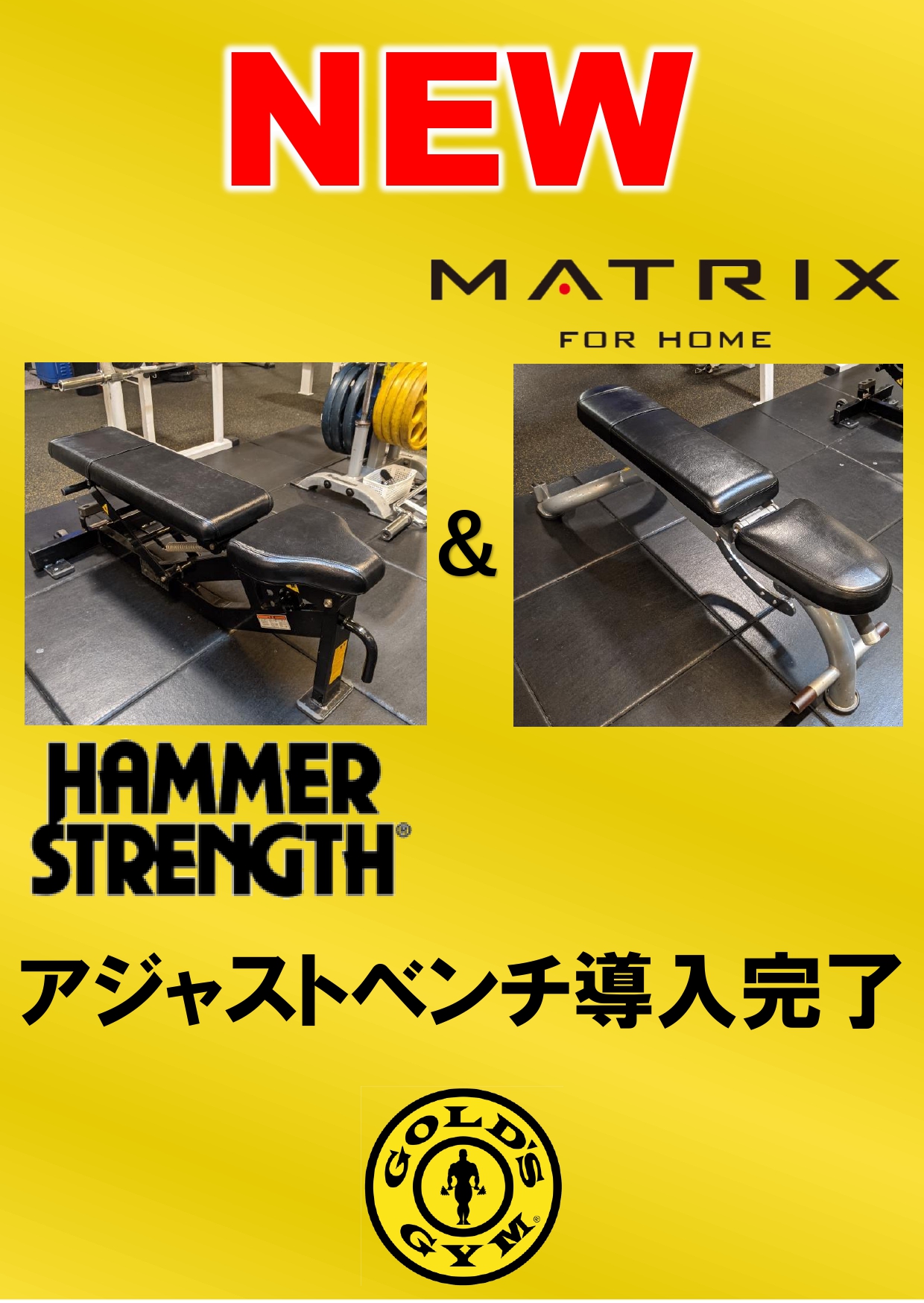 行徳千葉フィットネスセンター アジャストベンチ追加情報