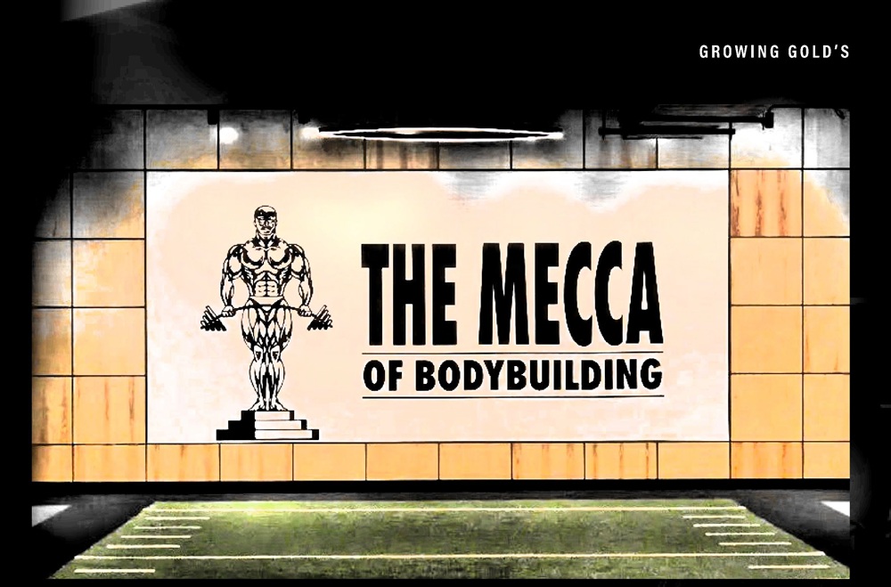 海外ゴールドジム情報｜2026年1 月