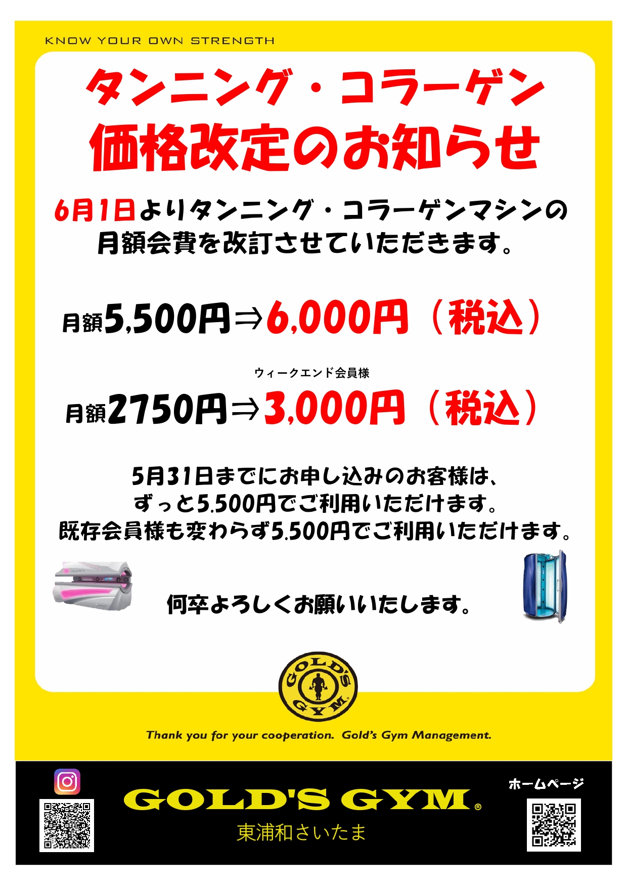  × GOLD'S GYM カットオフ　ブラック　値上げ予定 GOLD'S GYM カットオフ ブラック 値上げ予定 GYM GOLD'S × カットオフ
