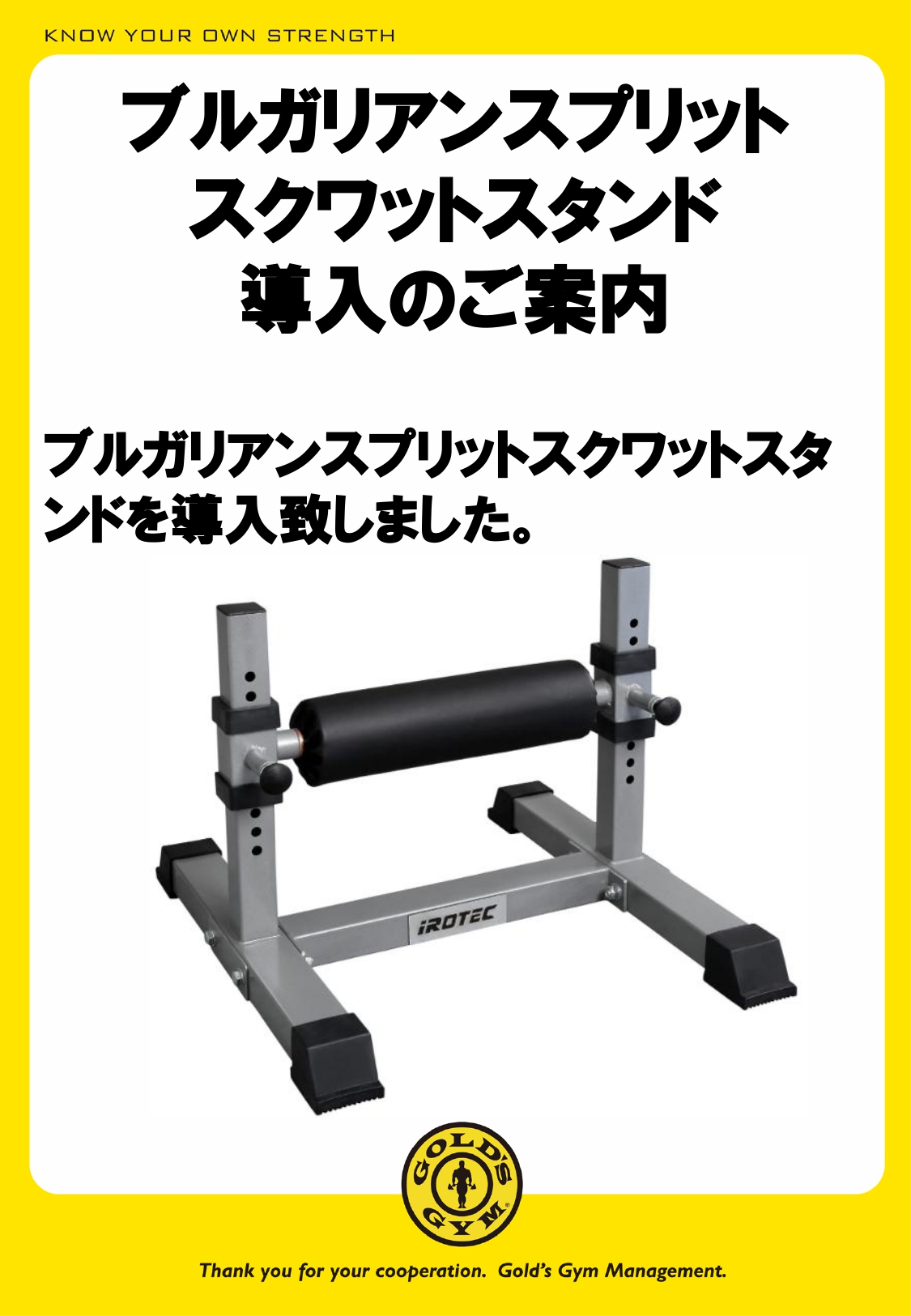 厚木神奈川｜ブルガリアンスプリットスクワットスタンド導入のご案内
