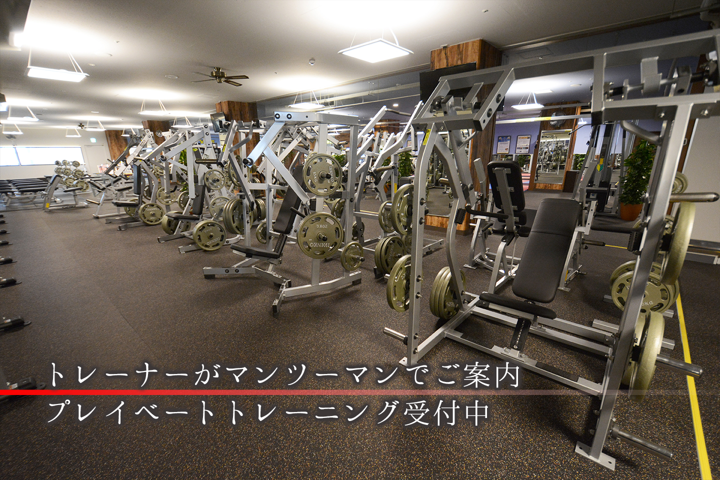 ゴールドジム千葉ニュータウン 店舗写真 3