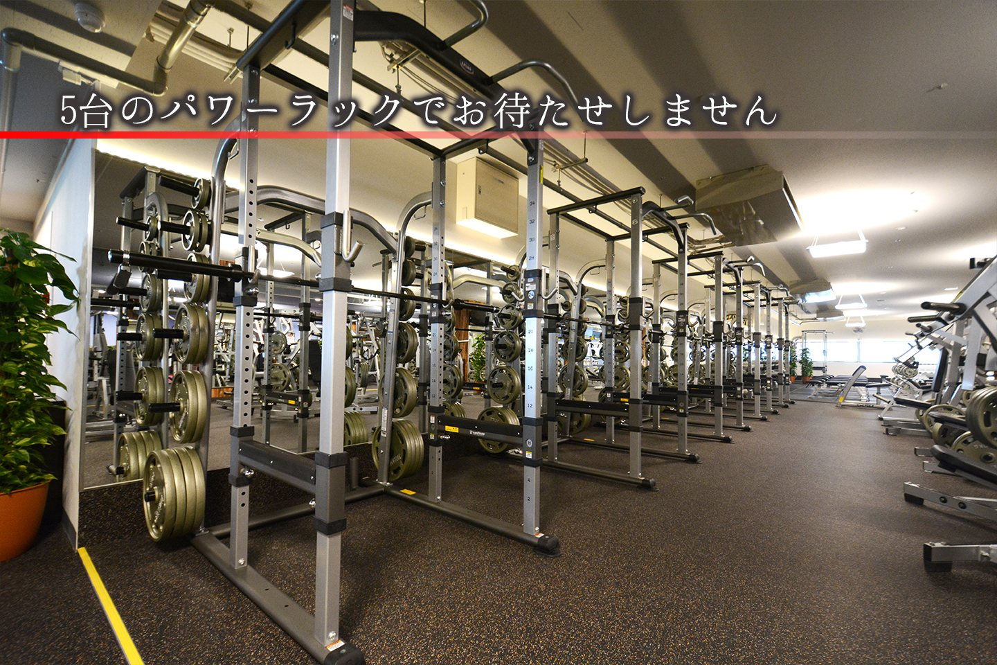 ゴールドジム千葉ニュータウン 店舗写真 4