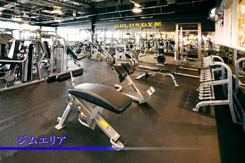ゴールドジム