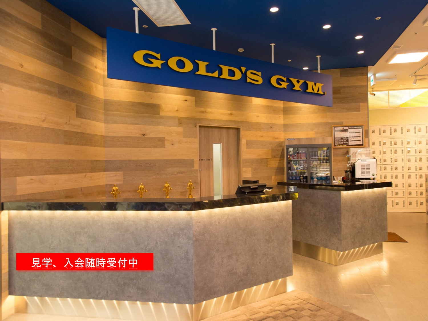 ゴールドジム