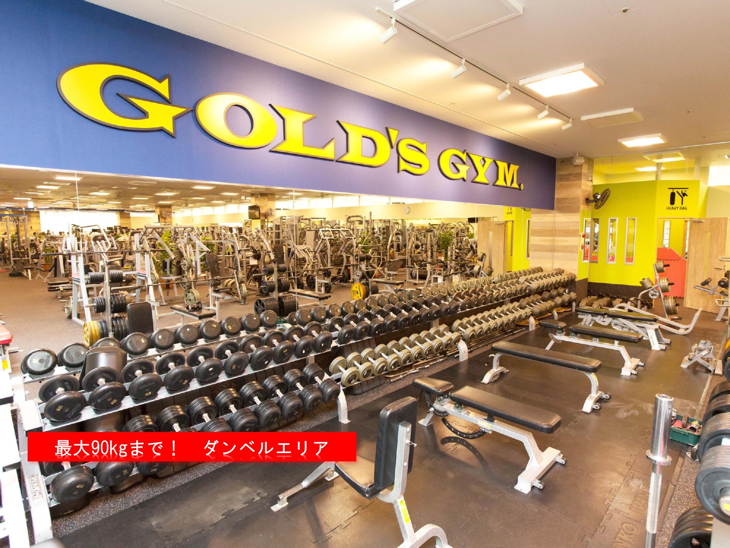 ゴールドジム