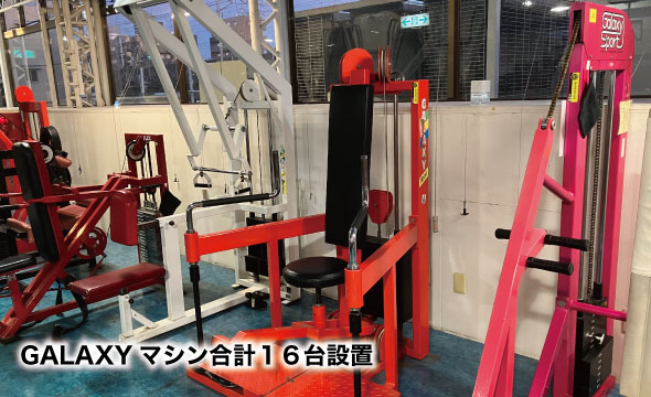 ゴールドジム行徳千葉アスレチックセンター 店舗写真 2