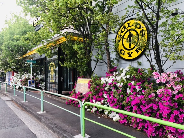 ゴールドジムイースト東京の施設写真