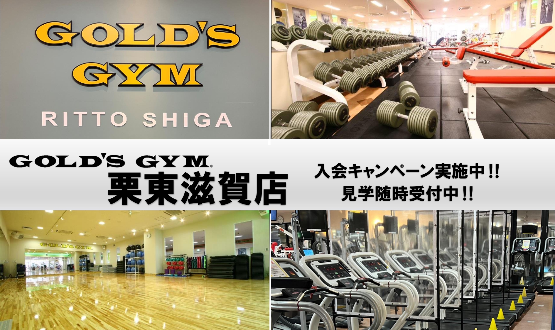 ゴールドジム