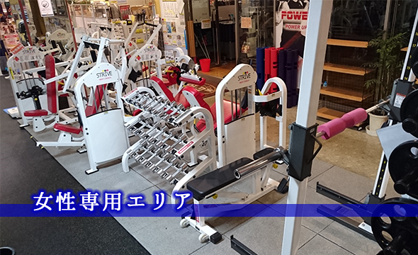 ゴールドジム幕張千葉ANNEX 店舗写真 3