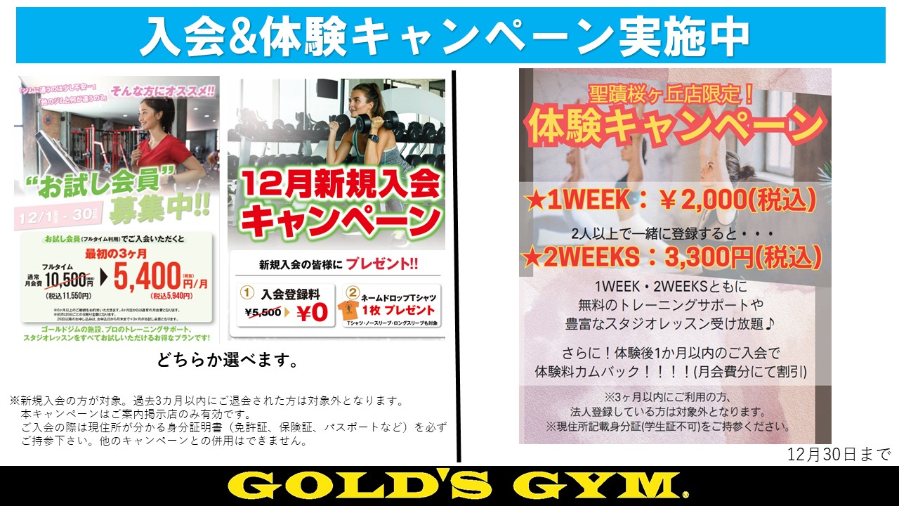 ゴールドジム