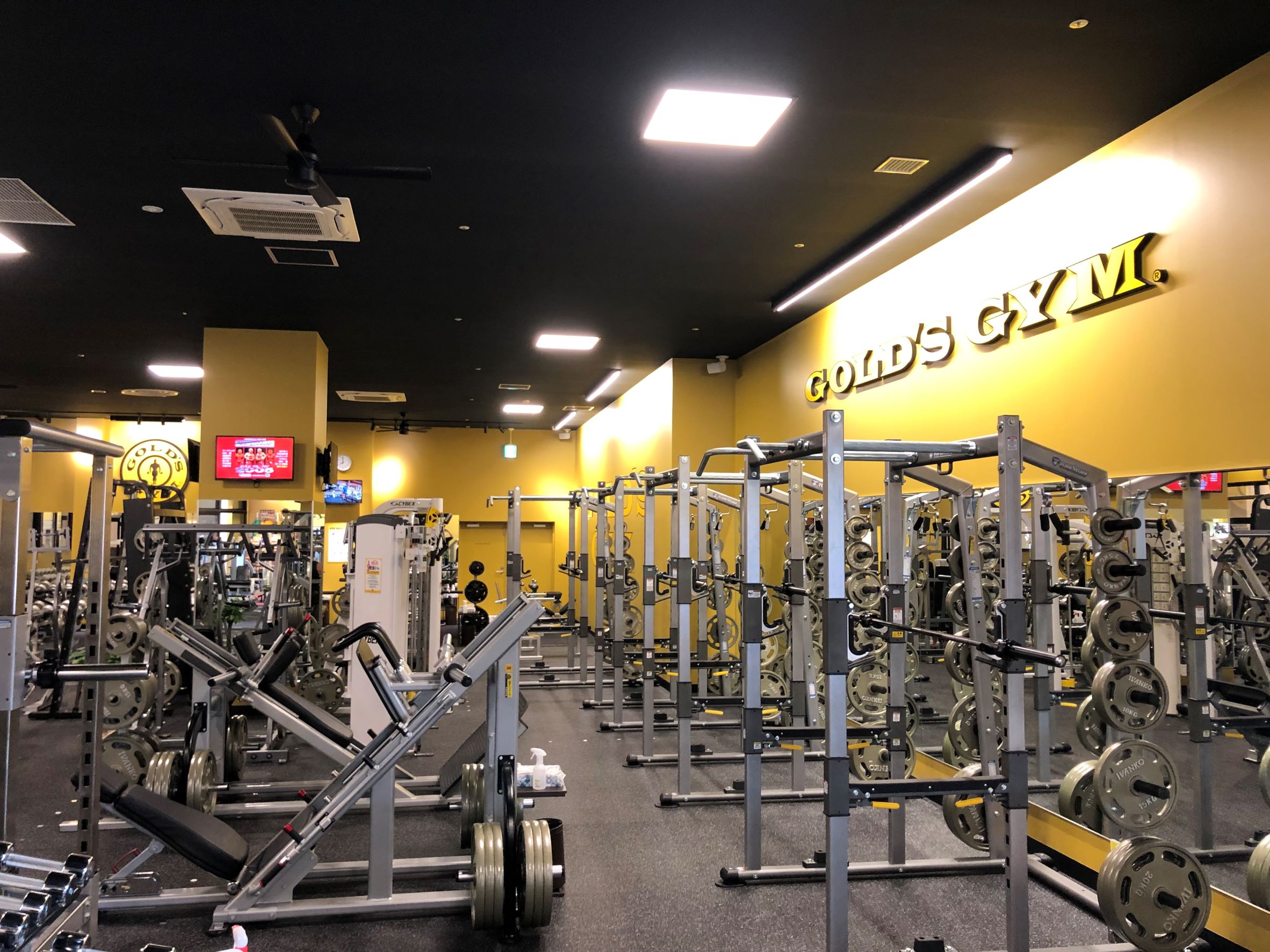 ゴールドジム