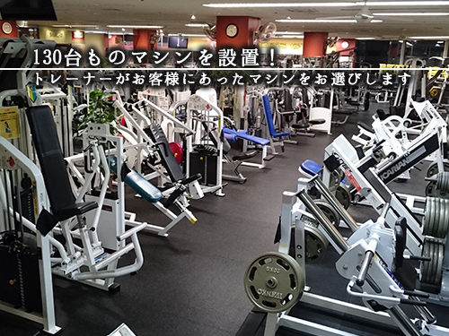 ゴールドジム幕張千葉ANNEX 店舗写真 4