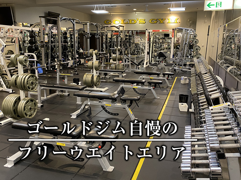 ゴールドジム仙台サンプラザ 店舗写真 3