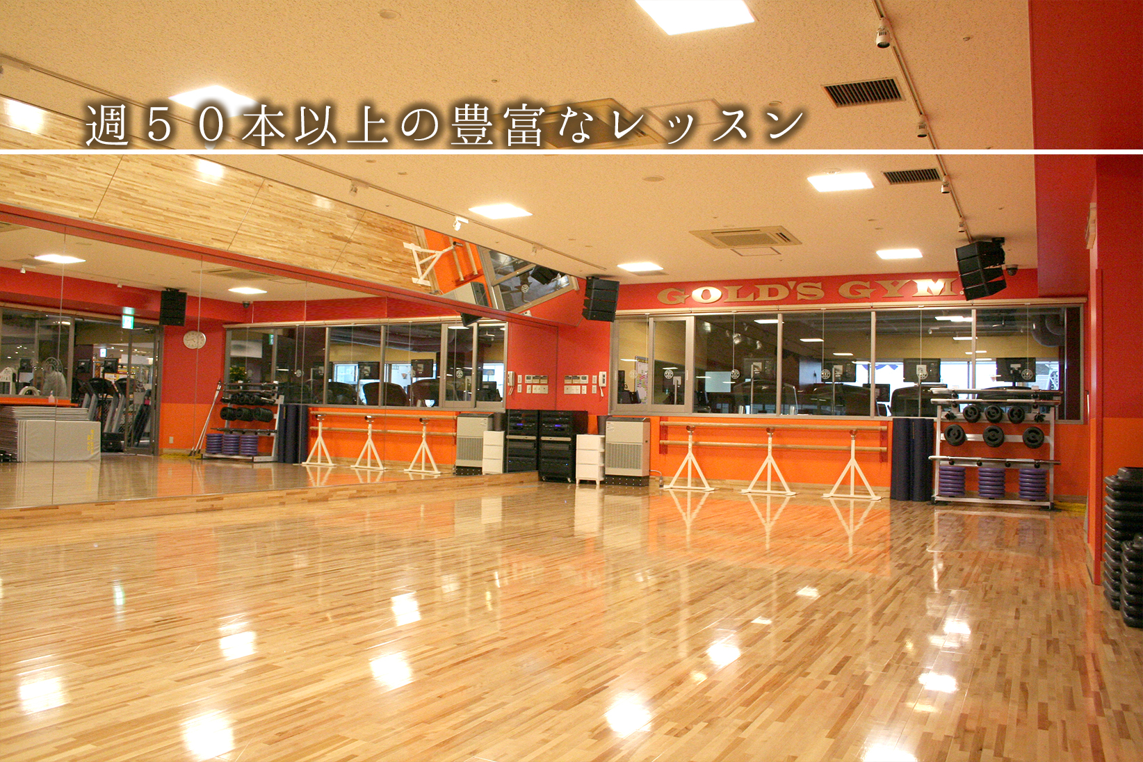 ゴールドジム