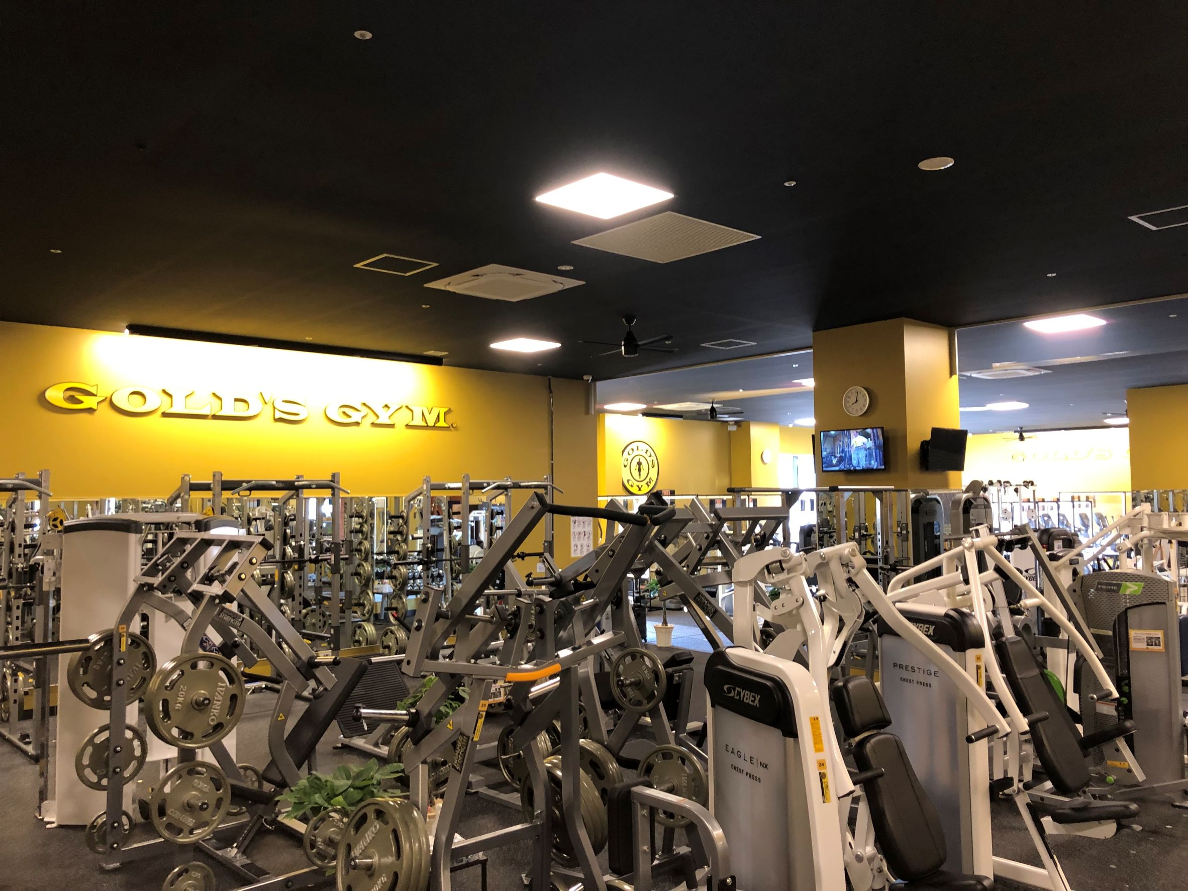ゴールドジム