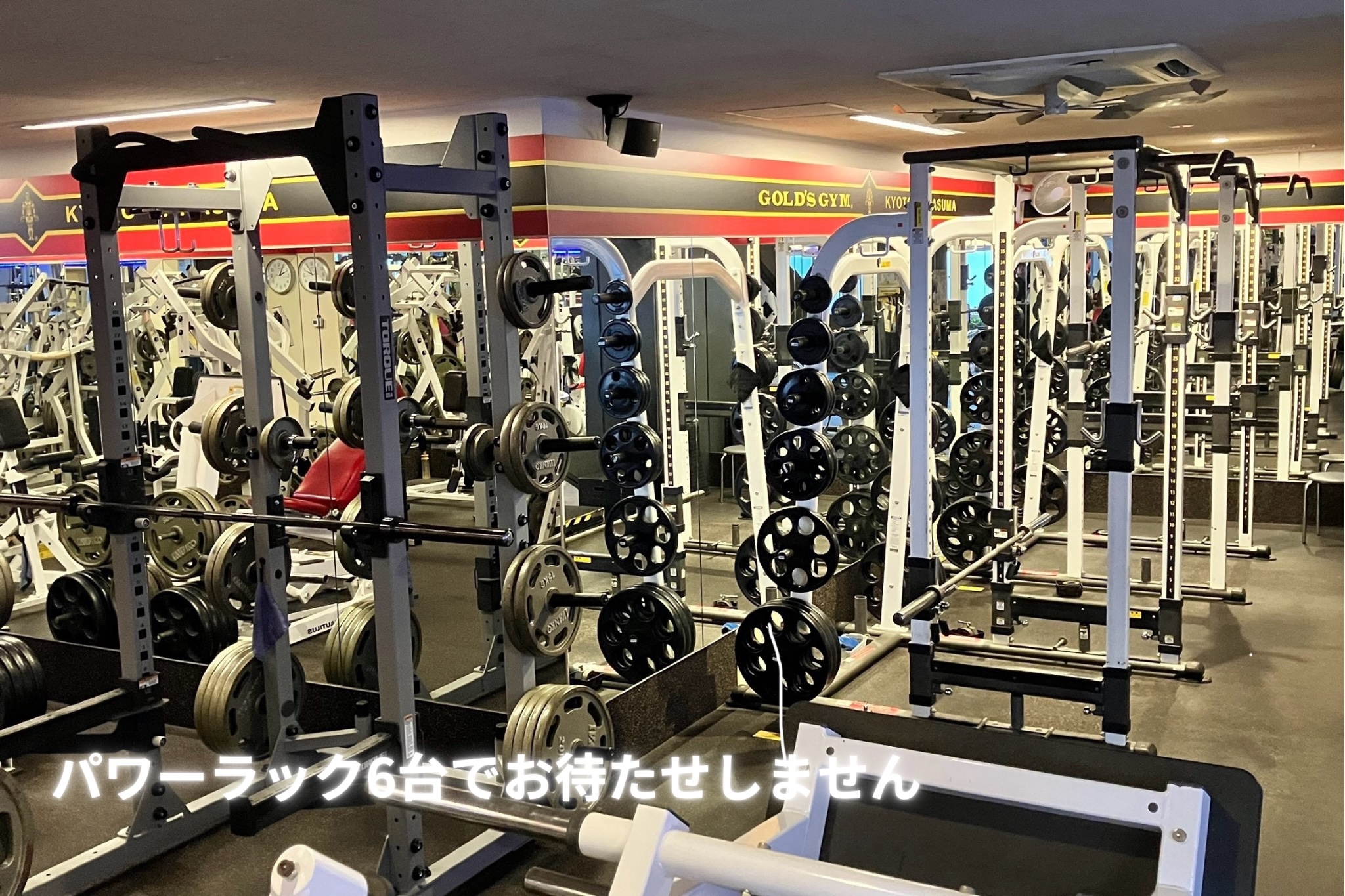 ゴールドジム京都烏丸 店舗写真 2