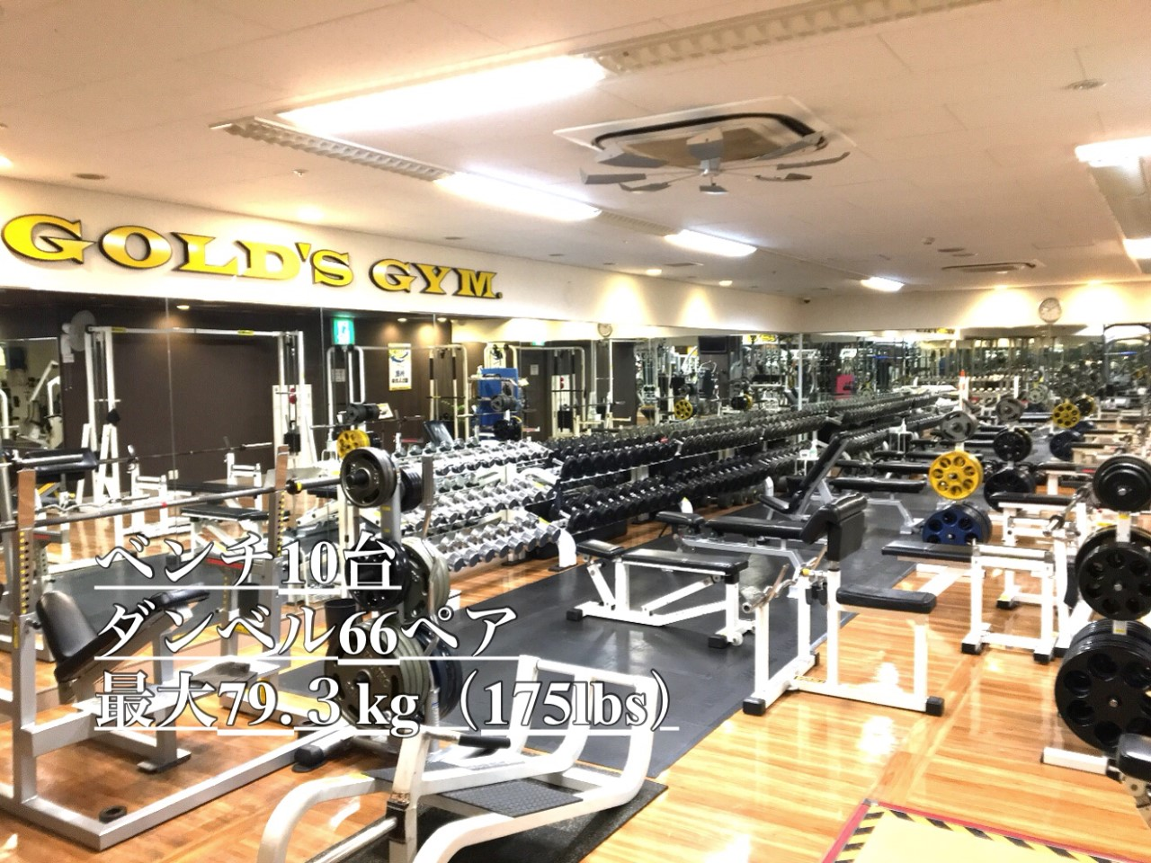 ゴールドジム