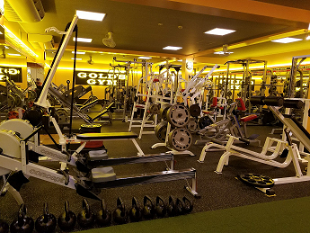 ゴールドジム新居浜愛媛 ｜スポーツジム・フィットネスクラブなら